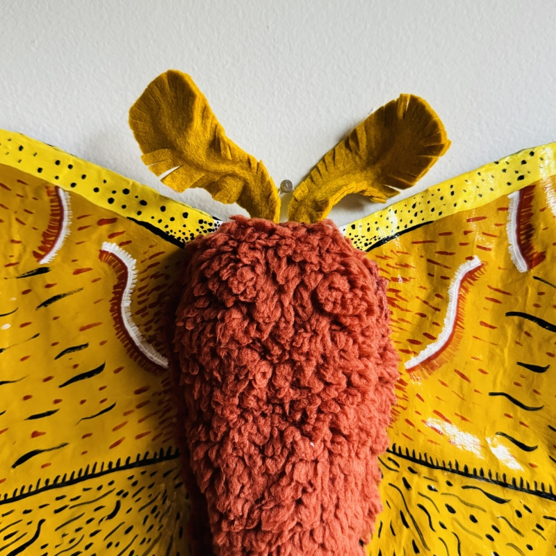 Closeup of Antennae on Polyphemus Moth Paper Mache Art Sculpture