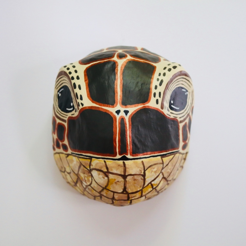 Thomas the Turtle - Custom for Crystal P. - Image 14