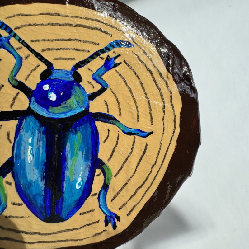 Courtney - Cobalt Blue Milkweed Beetle Wall Puck - Image 5