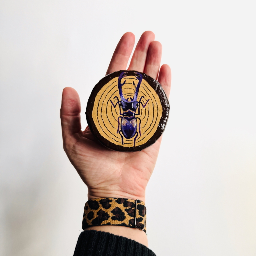 Mark - Metallic Stag Beetle Wall Puck