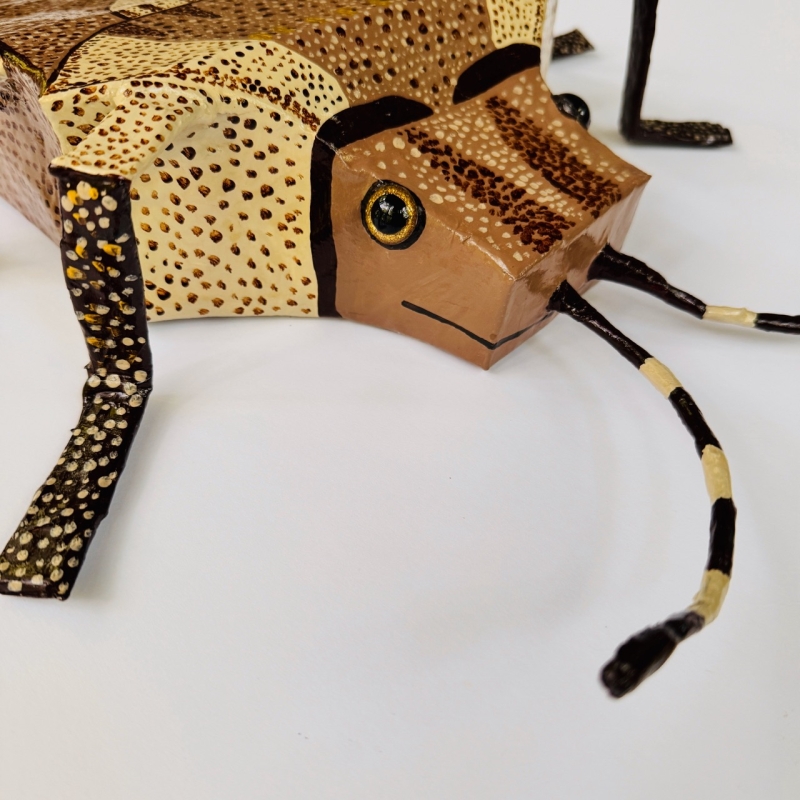 Steve the Stink Bug - Custom for Dana - Image 8